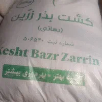 بذر یونجه