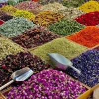 دعوت به همکاری