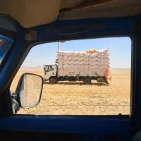 خریدفروش کاه
