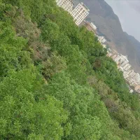 آجودانیه ۱۶۰ متر ۳ خواب با چشم انداز مشجر