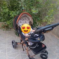 کالسکه دلیجان