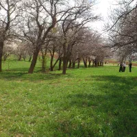 زمین-کشاورزی