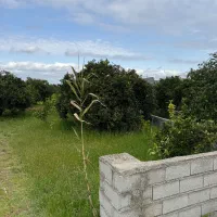 ۲۵۹ متر باغ جاده بابل قائمشهر ولوند