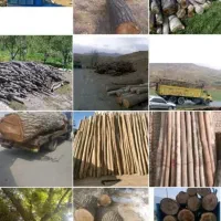 خرید انواع چوب