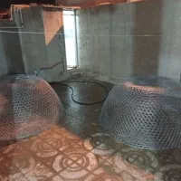 گارگر|ماهیگیری|چغادک, |دیوار