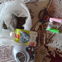 لوازم گربه
