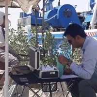 ژئوفیزیک حرفه ای
