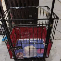 چرخ
