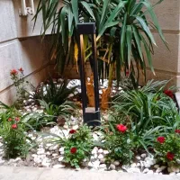 باغبان حرفه ای