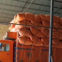خریدوفروش کاه
