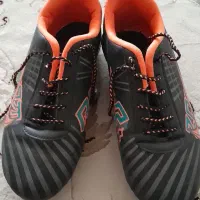استوک