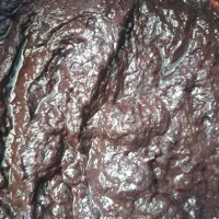 رب آلوچه محلی