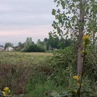 زمین-کشاورزی
