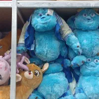 سالیوان سایز بزرگ