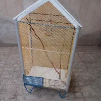 قفس برای مرغ عشق