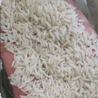 برنج محلی دورود درجه یک