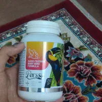 سرلاک پرنده