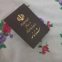گشمده امیرحسین کسائیان