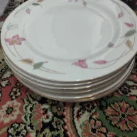 بشقاب و دیس