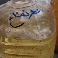 عطر نعنا خالص ۲۰ کیلو عمده