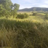 کارگر کشاورزی
