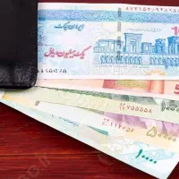 درآمدهای تضمینی باگوشی