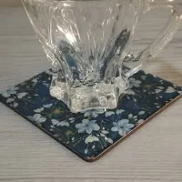 فنجون اصل ژاپن