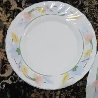 پیش دستی آرکوپال طرح فلو دو دست