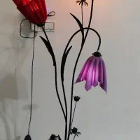 چراغ خواب لاله زیبا