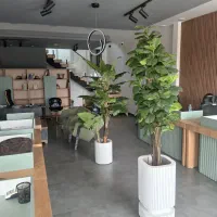 استخدام نیروی خدماتی (آبدارچی و آشپز)در دفتر املاک