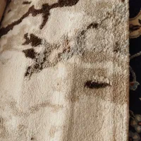 گلیم