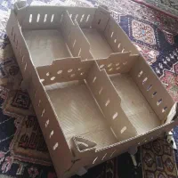 کارتن حمل جوجه یکروزه