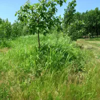 زمین-مسکونی-برای-فروش