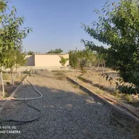 زمین باغچه