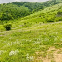 زمین مزروعی دو بر با سند تکبرگ