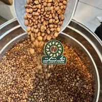 تامین کننده تخصصی قهوه در شیراز