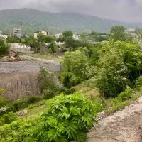 فروش زمین ۲۴۵متری/با جواز ساخت /اطراف ساخته شده