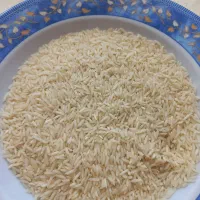 برنج ندا