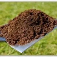 کود حیوانی  گوسفندی