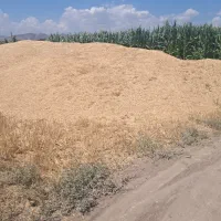 کاه قیمت توافقی