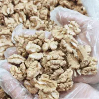 گردو و مغز گردو بسیار عالی