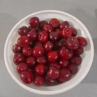 گیلاس