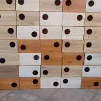 لانه عروس هلندی