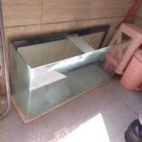 آکواریوم