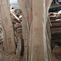 فروش چوب بصورت تنه و اسلب و ابعادی