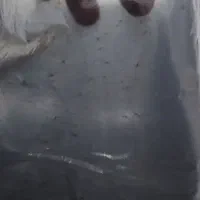 کیسه زباله مشکی درجه یک