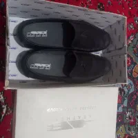 کفش مجلسی