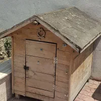لانه سگ و مرغ خروس چوب روس