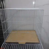 قفس کوچک