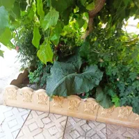 ویلایی